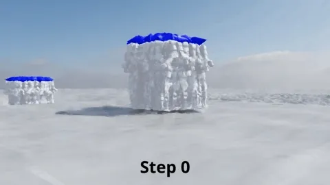 Training: Step 0
