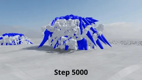 Training: Step 5000